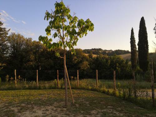 Appartamento Indipendente Con Piscina E Giardino