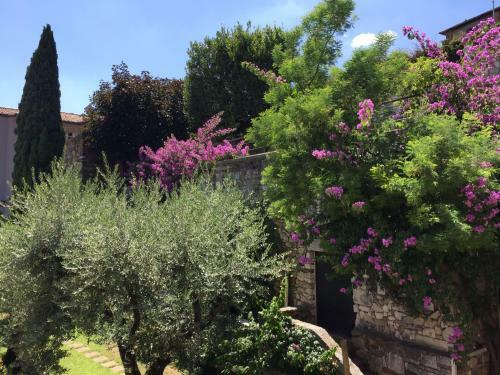 Apartamento Le Finestre Sugli Ulivi