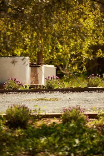 Villa Quinta Do Marmeleiro- Casa Poejo