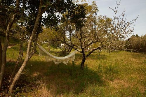 Villa Quinta Do Marmeleiro- Casa Marmeleiro