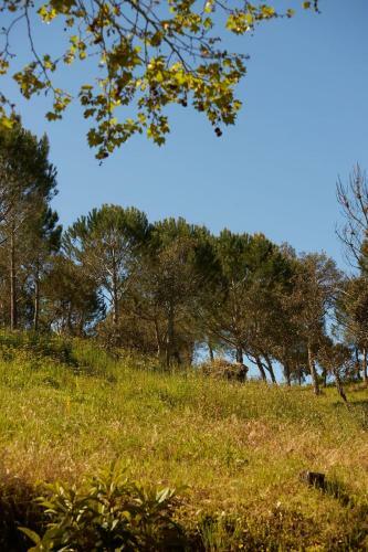 Villa Quinta Do Marmeleiro- Casa Marmeleiro