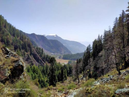 Lodge The Vinshar Bagha Sarahan