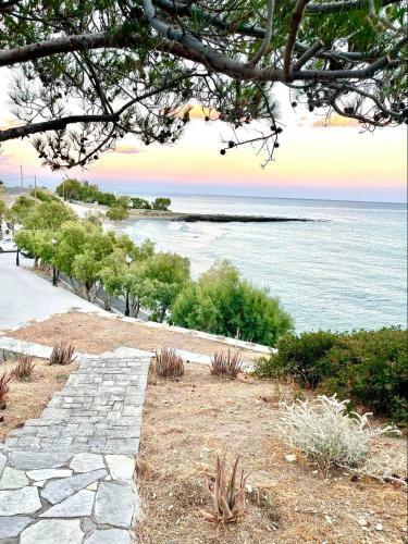 Bay Divino