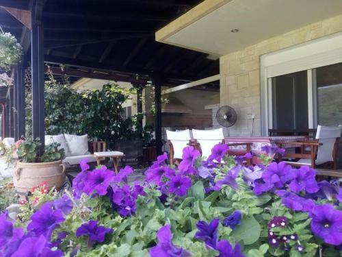 House With Garden Next To The Beach Trani Ammouda