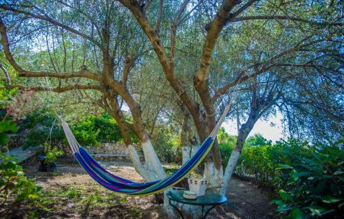 Apartamento Villa Rosa In Kefalonia 1
