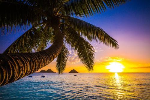 Kuhio Plaza Condo 702