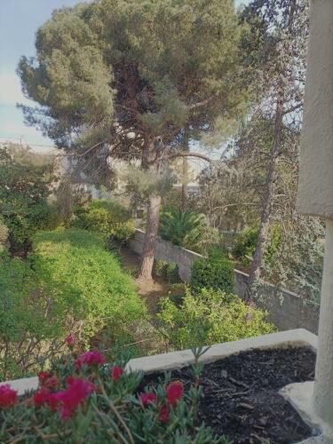 Hostal Dimora Liberty