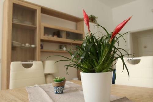 Ohana: Casa Nel Centro Di Lecce