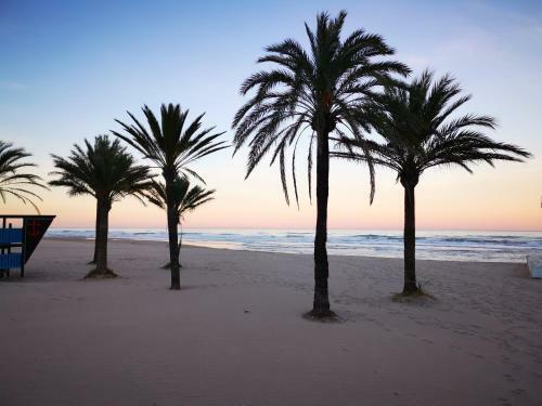 Apartamento Ana Maria Gandia