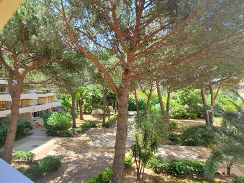 Apartamento Miougrano Studio 25m2 Piscine 300m Plage