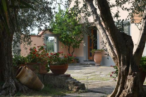 Bed & Breakfast La Convenienza
