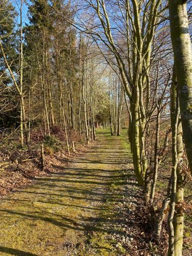 Apartamento Ferienhaus Am Damwildgatter