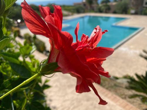 Apartamento Casa Amalfi Zambrone Madama