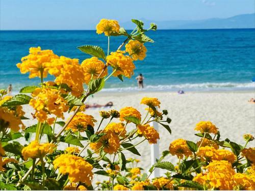 Apartamento Casa Amalfi Zambrone Madama
