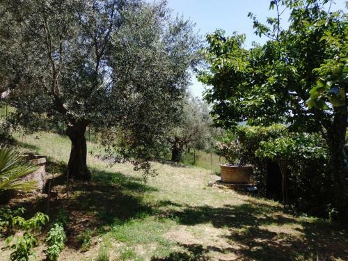 Apartamento Villa Maja Country House