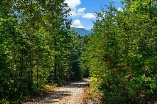 Laurel Ridge Cabin...experience Nature In 90 Acres!