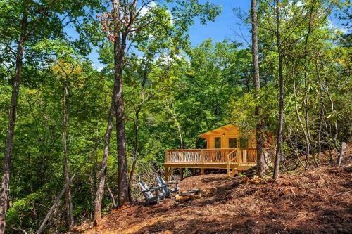 Laurel Ridge Cabin...experience Nature In 90 Acres!