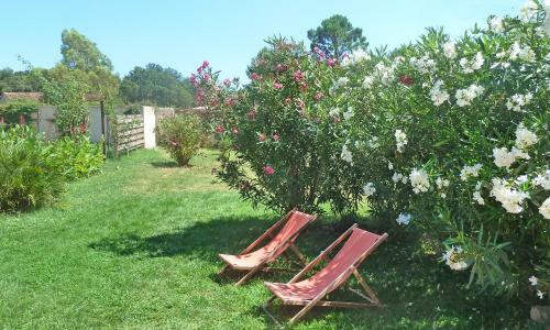 Apartamento Chezchrisitine Porto-vecchio