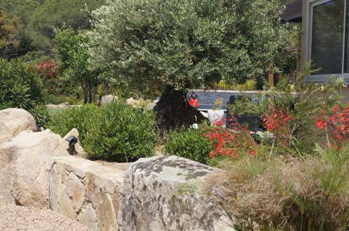 Hostal Room In Bb - Santa Giulia - Charming Bed And Breakfast With Breakfast Included