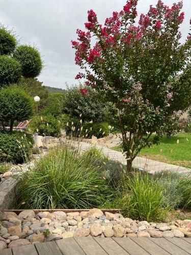 Hostal Room In Bb - Santa Giulia - Charming Bed And Breakfast With Breakfast Included