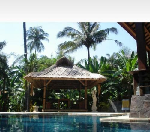 Villa Tropical Farm With Swimming Pool