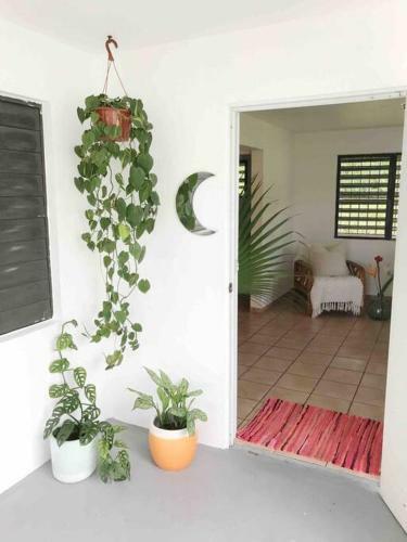 Apartamento Casa Bohique Tropical Rainforest Getaway