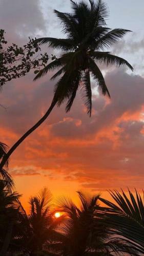 Apartamento Casa Bohique Tropical Rainforest Getaway