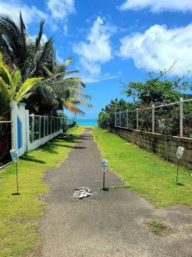Apartamento Peaceful Ocean Front Home Near Rainforest & Rivers 102