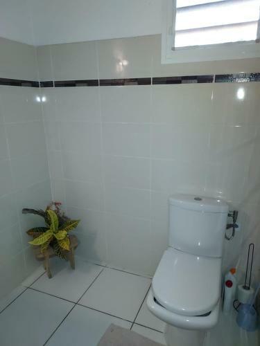 Apartamento Kaz A Fruit A Pain