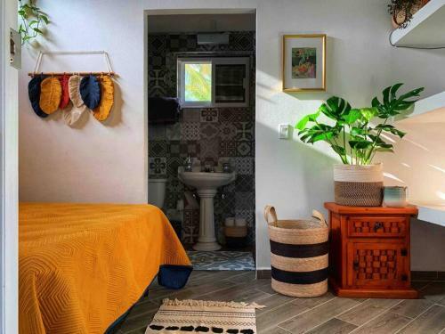 Apartamento Cozy Place With Private Palapa Level