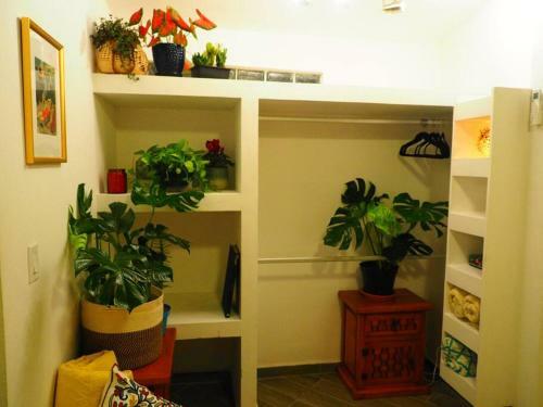 Apartamento Cozy Place With Private Palapa Level