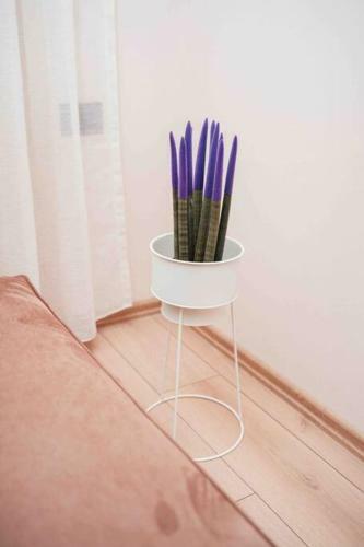Apartamento Drago House, City Center Location