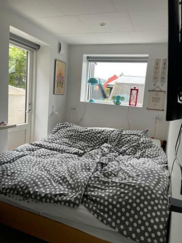 Nice Apartment In The Middel Of T�rshavn