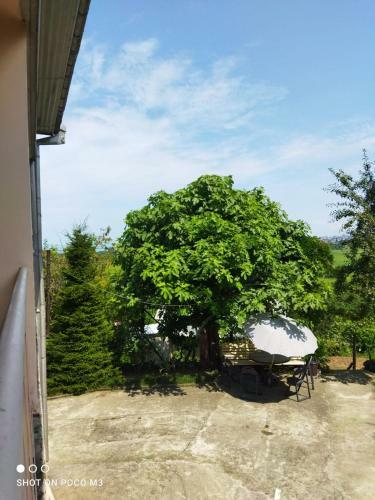 Tsikhisdziri Guest House