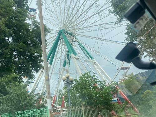 Lovely Apartment In The Forest