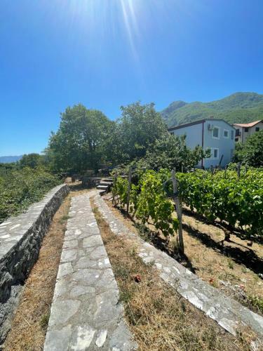 Apartamento House Boskovic - Peaceful & Relaxing