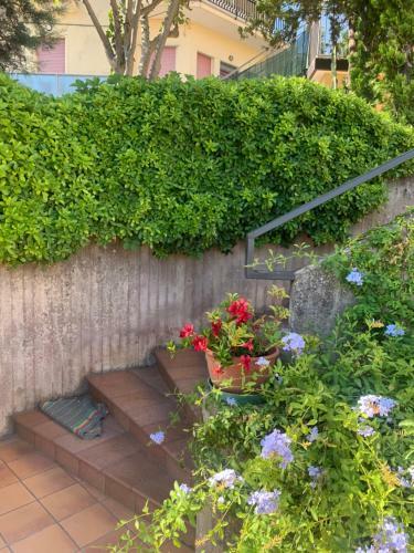 Apartamento Stella Del Cilento Luxury