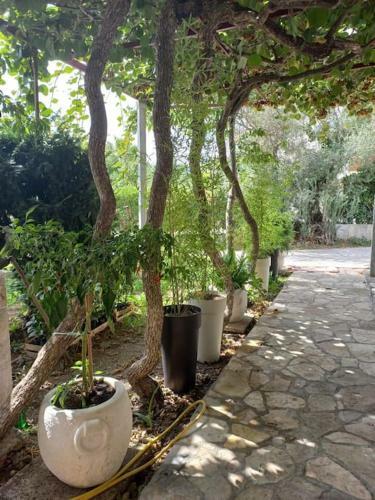 Apartamento House Of Hearts, Baosici, Beachfront