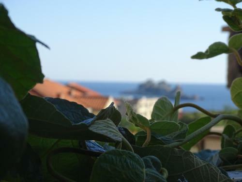 Apartment Hypnos Petrovac