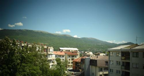 Luxury Apartment Poli
