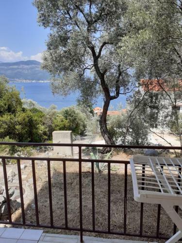 Apartman Nikolic