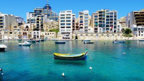 Splendid 2br Apartment, Steps To St Georges Bay