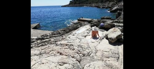 Soul House By The Sea Kor?ula Pri?ba