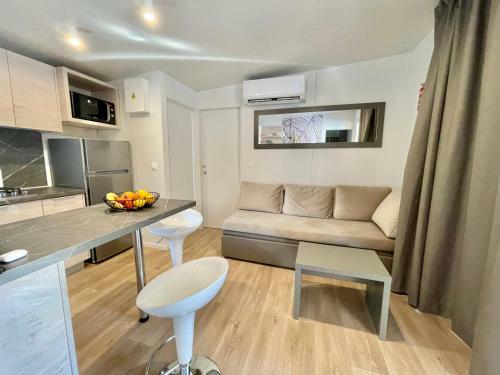 Mobile Home Pallas