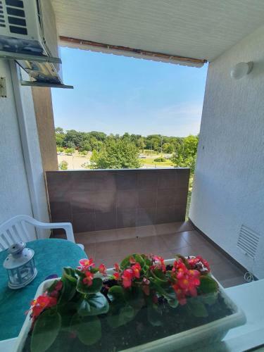 Apartamento Stan U Centru ?akovca S Pogledom Na Park