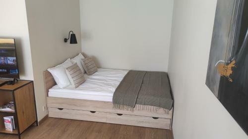 Ezermalas Apartment