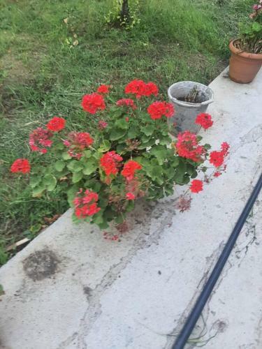 Agroturismo Kolkhis Ezo