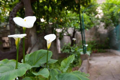 Bed&breakfast Annapaola