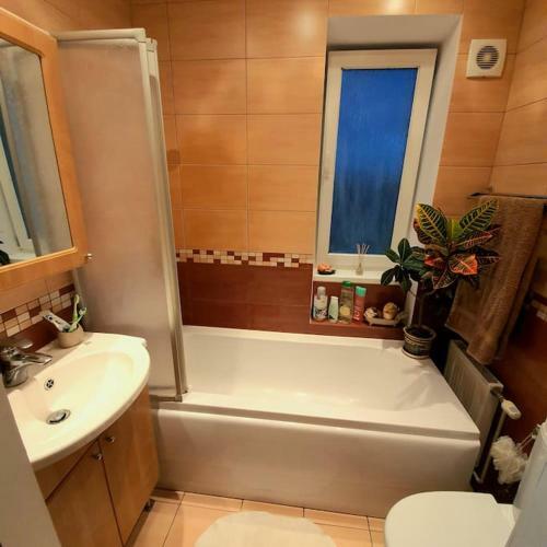 Studio Apartment And Free Airport Transfer