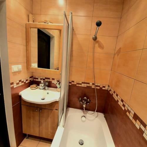 Studio Apartment And Free Airport Transfer